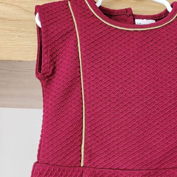 Burgundy Textured Dress with Gold Trim - Picture 3 of 8